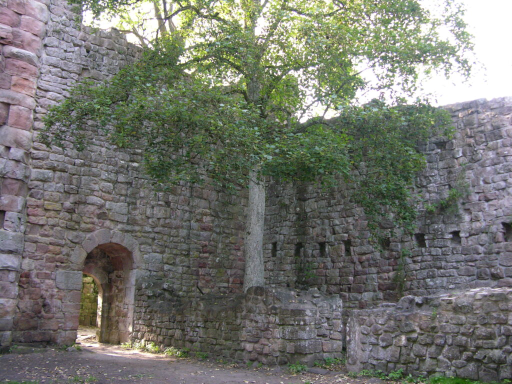 Burg Waldou - Zwarte Woud
